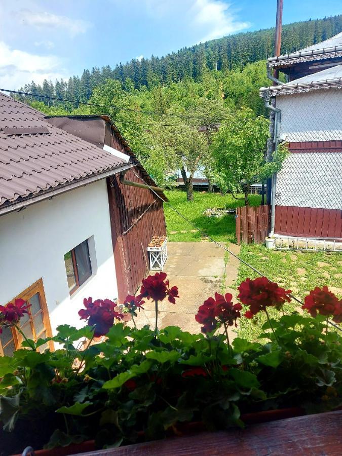 Pensiunea Boca Воронец Экстерьер фото